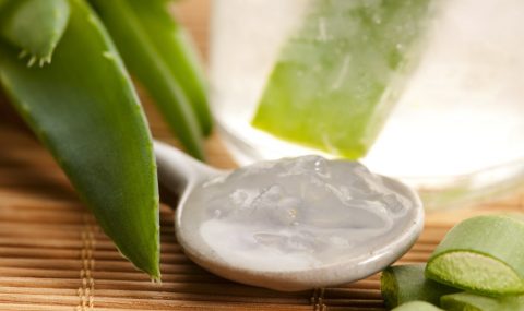 aloe-vera-gel-manufacturing-plant